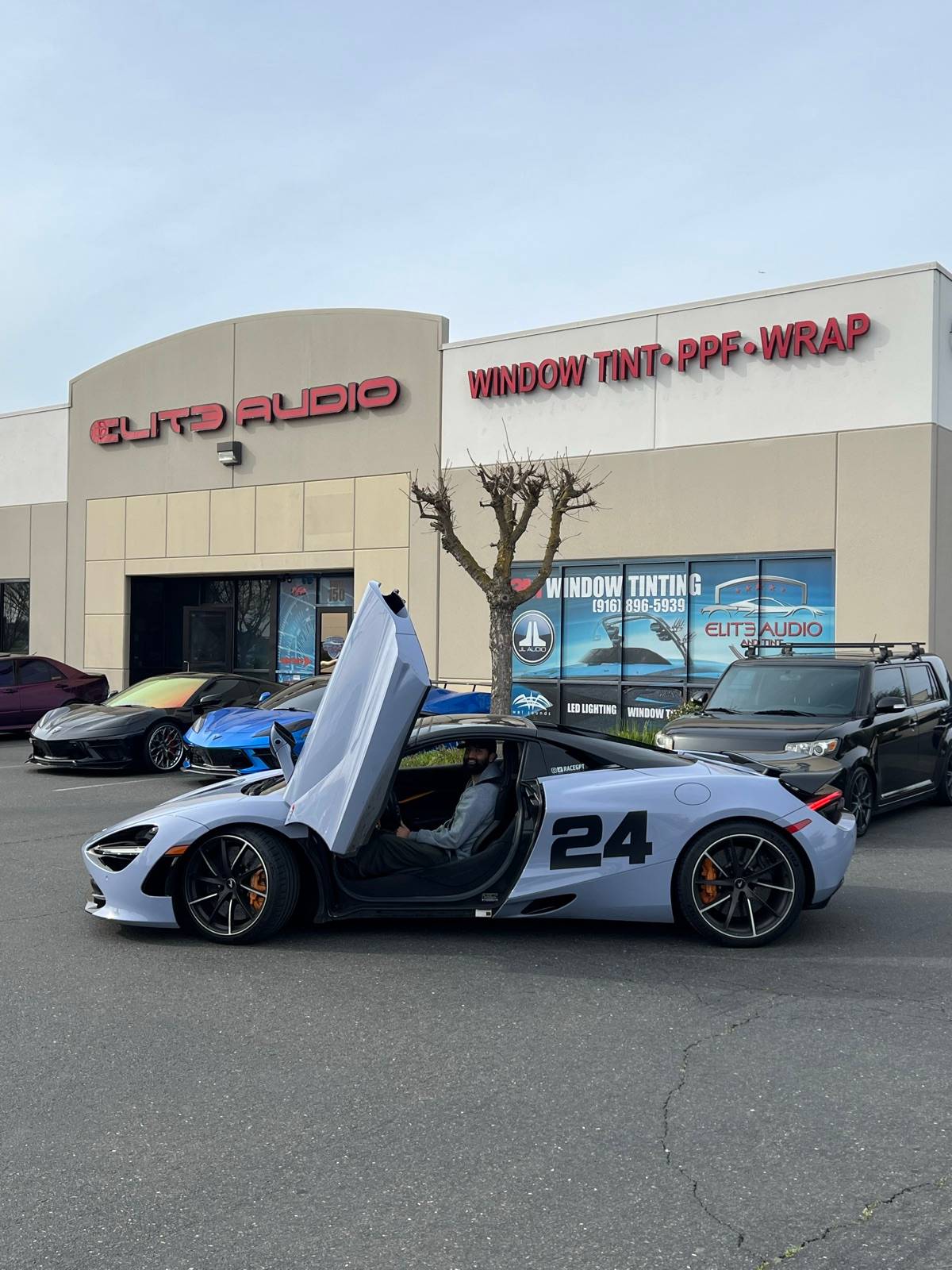 Window Tint